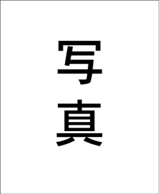 写真イメージ